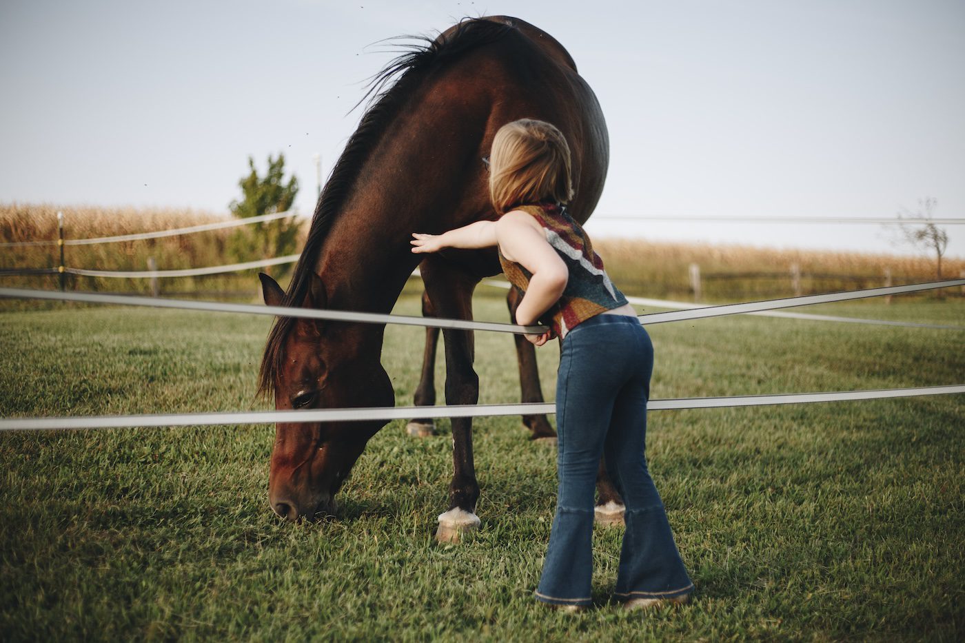 Girl playing with horse