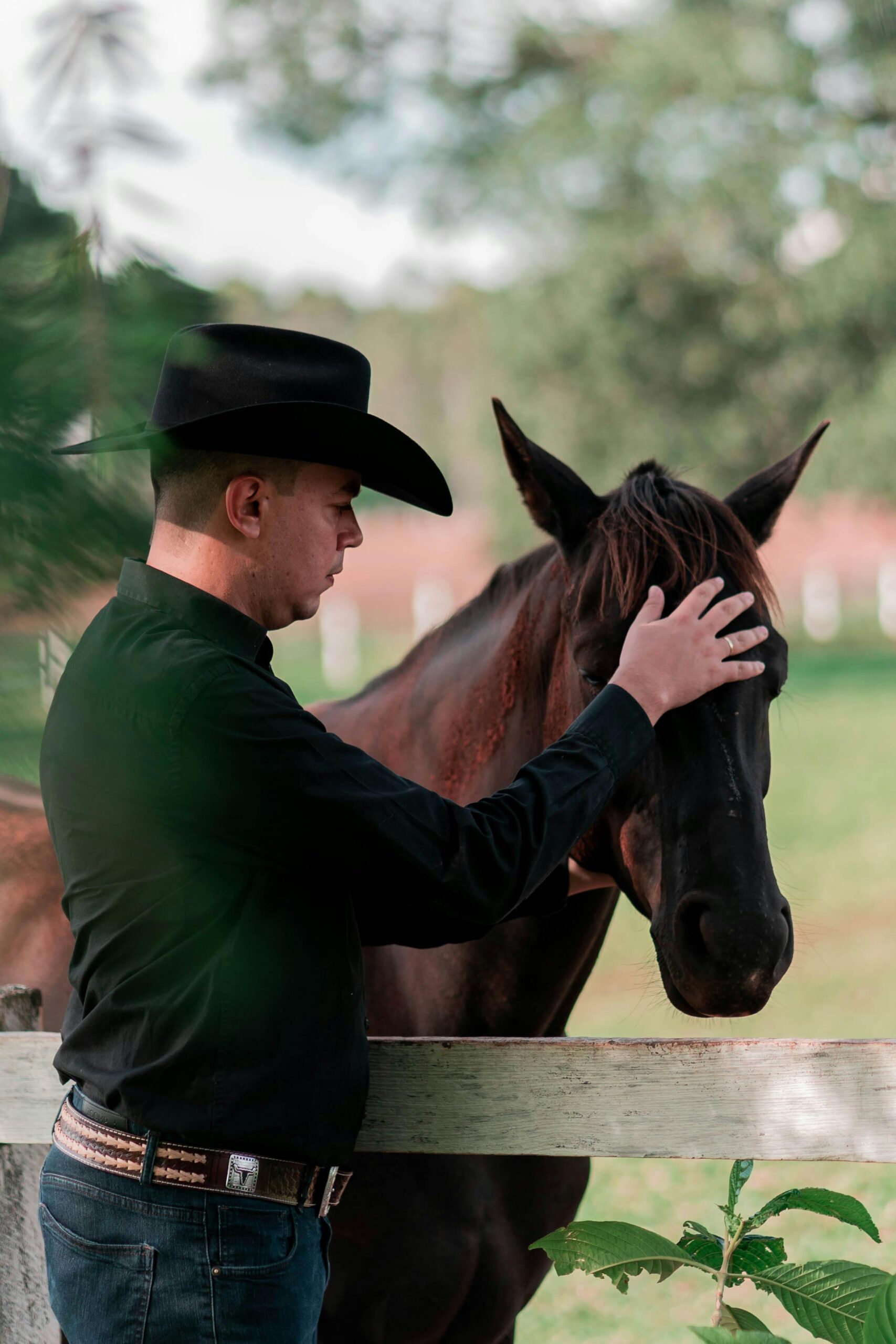 
A waist-up portrait shows a man in a cowboy hat and a dark shirt gently petting a horse